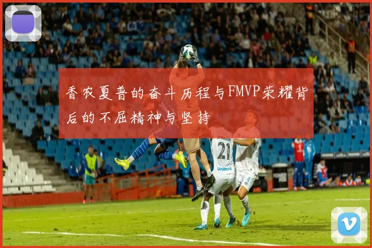 香农夏普的奋斗历程与FMVP荣耀背后的不屈精神与坚持