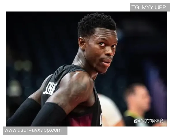 尼克斯对施罗德表现出浓厚兴趣国王队数据分析引发关注 尼克斯对施罗德表现出浓厚兴趣国王队数据分析引发关注